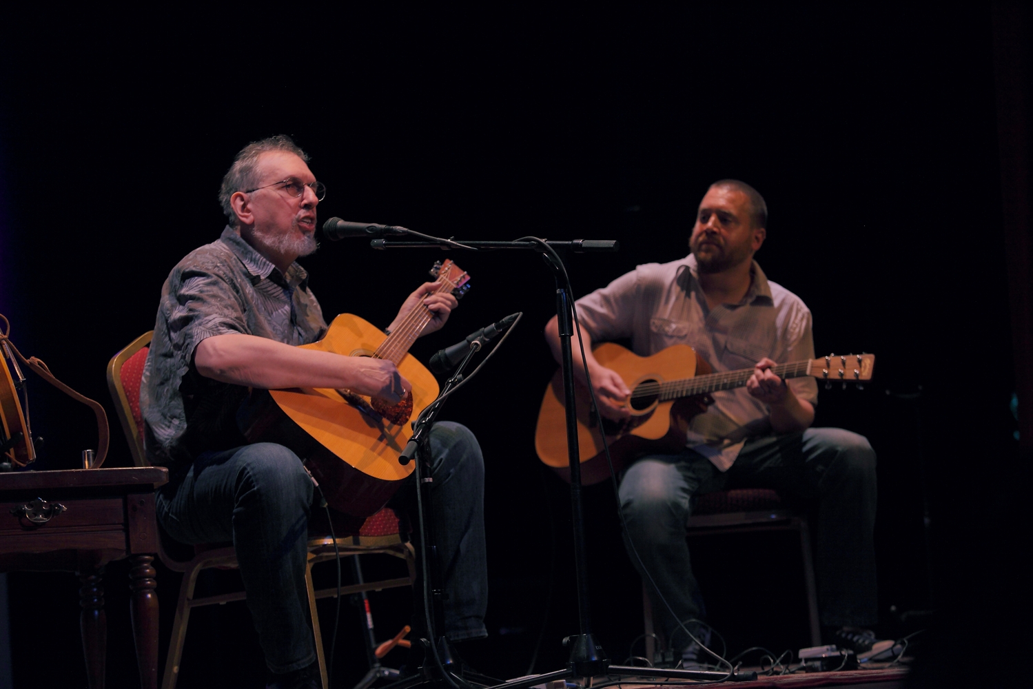 DavidBromberg2014-03-13OldTownCenterForTheArtsCottonwoodAZ (1).JPG